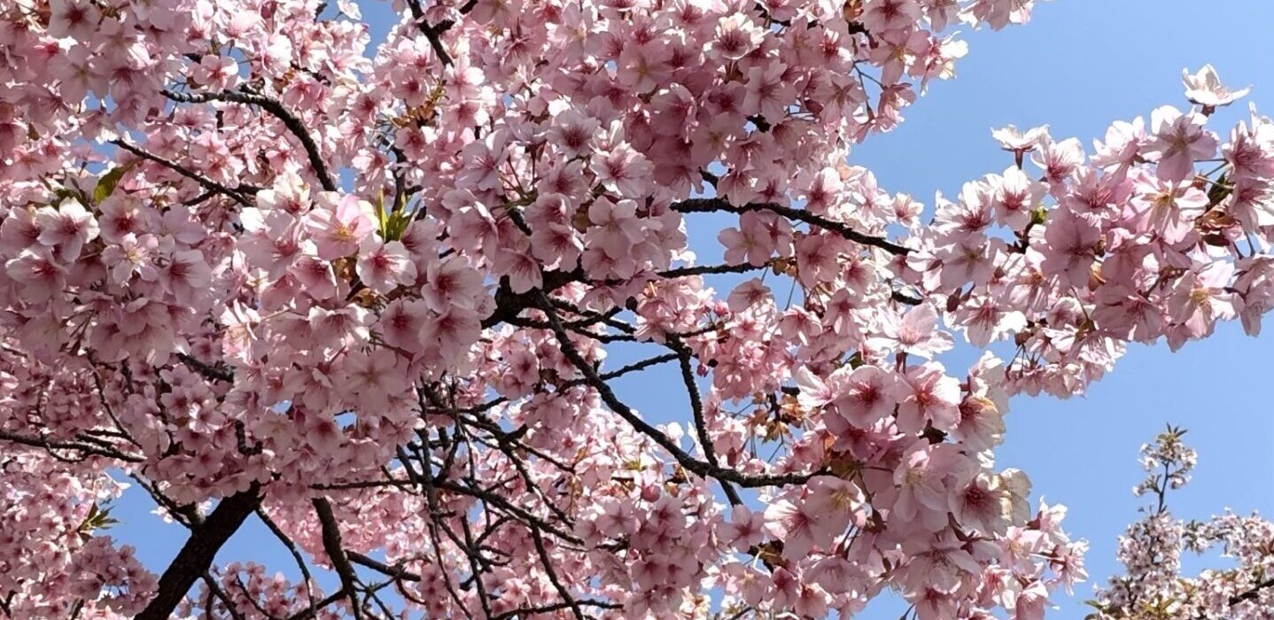 #slidecaption1 未来の安心のために今できることを