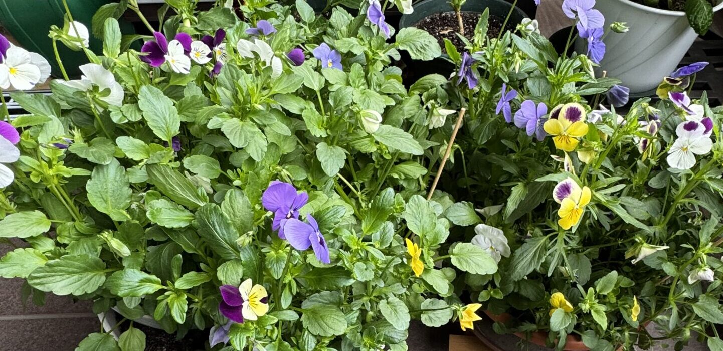 みなさまに寄り添ったサポートを心がけて